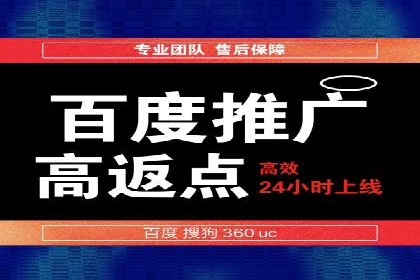 成功案例揭秘：百度SEO推广公司如何助力企业品牌建设